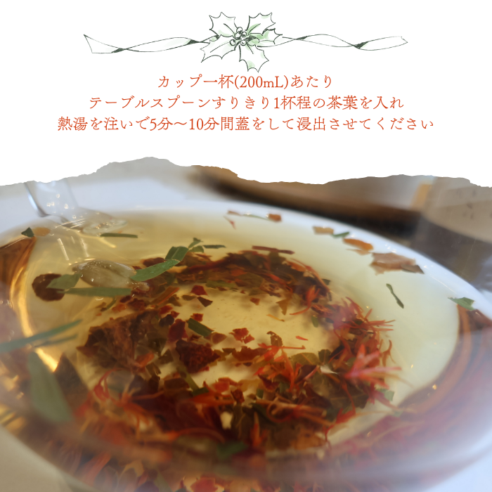 Phytreat Holiday blend -フィトリートホリデーブレンド-