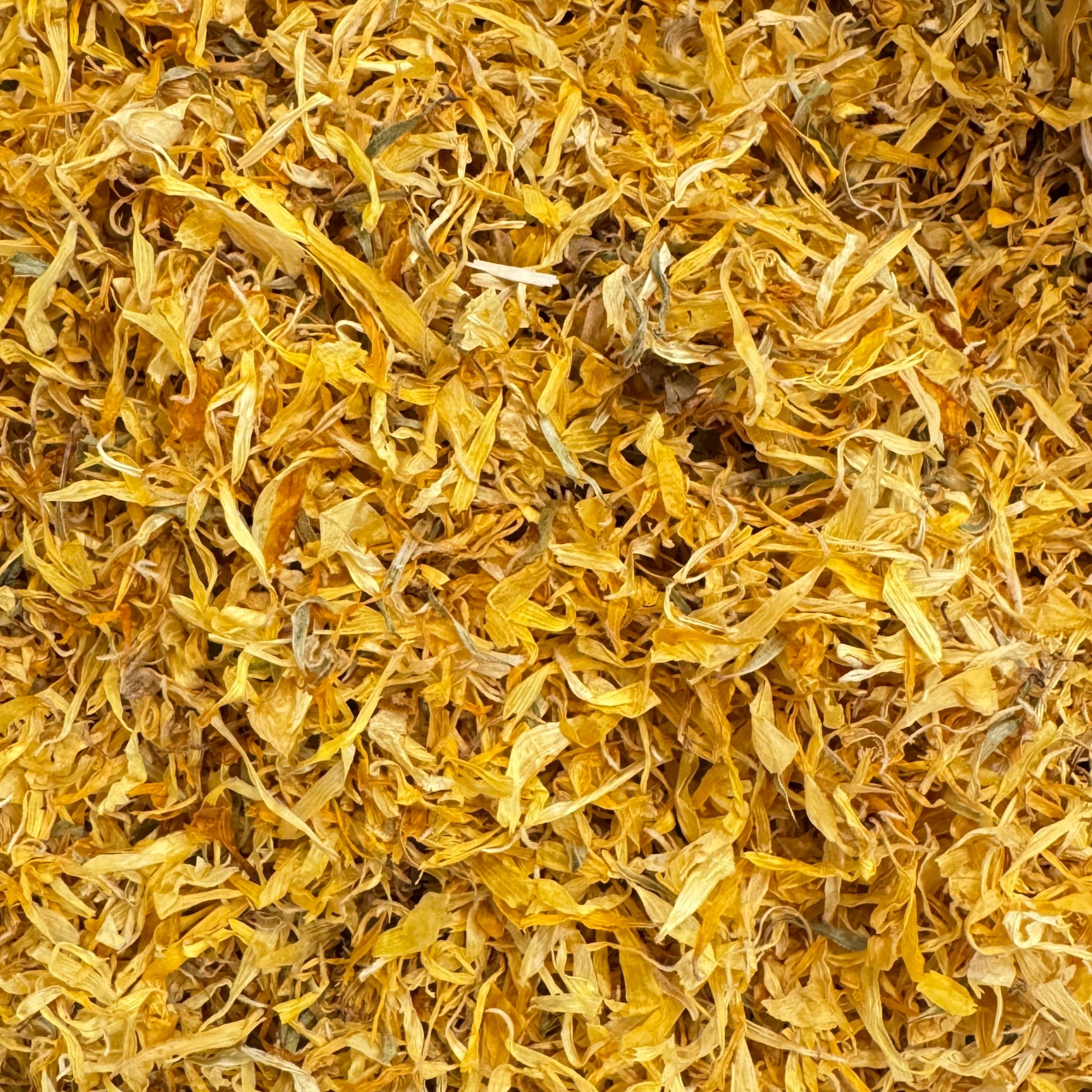 カレンデュラ（ペタル）