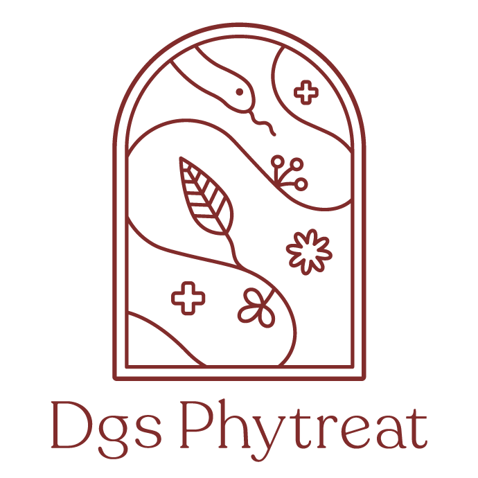 ドラッグストア フィトリート